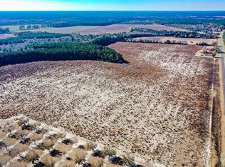 4493 Altamaha Sch Rd NW TRACT 2, Baxley, GA 31513