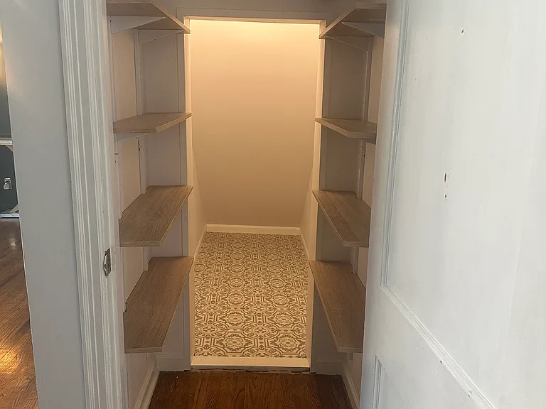Walk-in pantry with additional under stairs storage