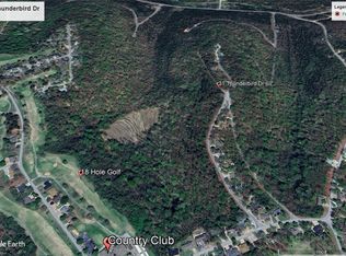 31 Thunderbird Dr #2, Eureka Springs, AR 72631