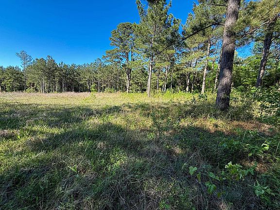 2nd image of 1329 County Road 2112