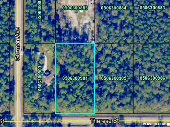 4260 Theresa St, Hastings, FL 32145