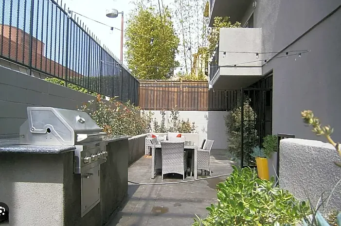 Hollywood Sycamore — Photo 21