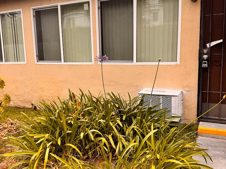1214 Boynton St #15 — Photo 4