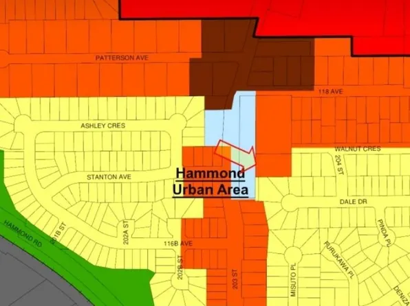 11726 203rd St, Maple Ridge, BC V2X 4T9