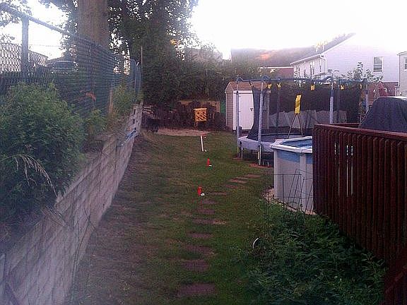 back yard