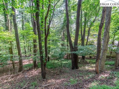 TBD Blanwood Drive, Boone, NC, 28607