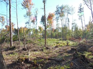 LOT 4 Austin Rd LOT 4, Glenfield, NY 13343