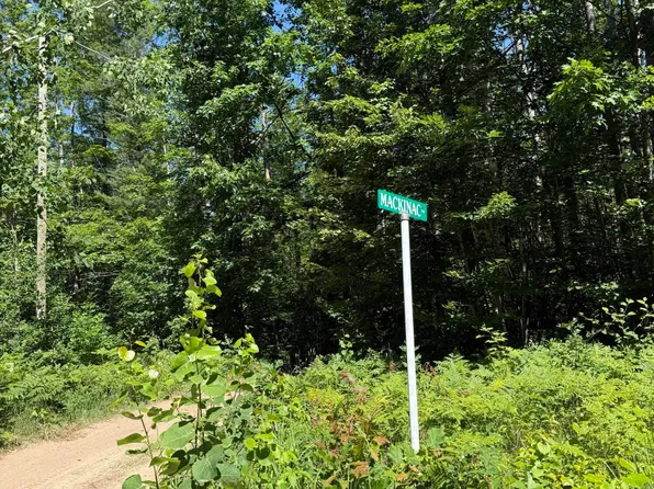 375 Mackinaw Trl, Gaylord, MI 49735