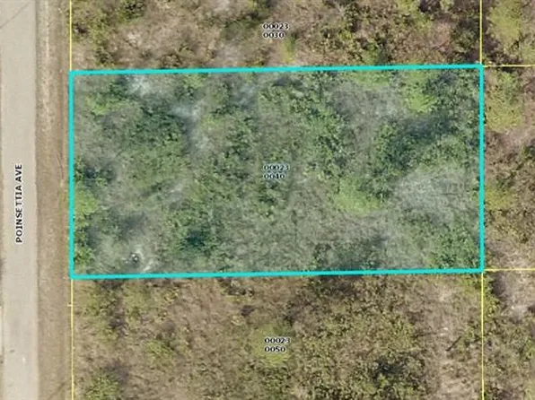 916 Poinsettia Ave, Lehigh Acres, FL 33972