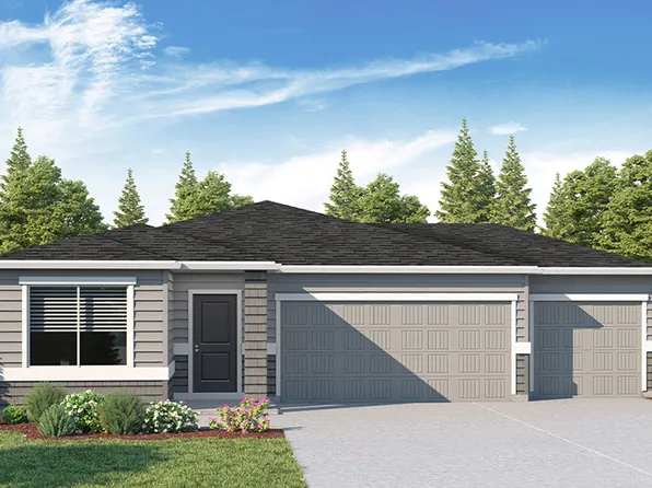 Spruce Plan, The Dunes