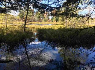 4596 Boys Lake Rd, Republic, MI 49879