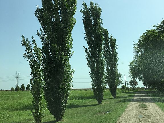 Driveway leaving home