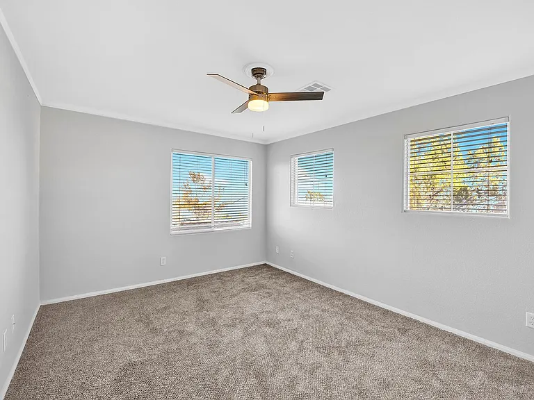1009 Black Olive St — Photo 18