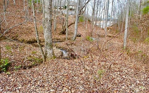 2nd image of 31/36 Arrowood Ct
