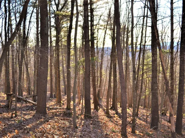 Ranchero Rd, Wayside, WV 24985