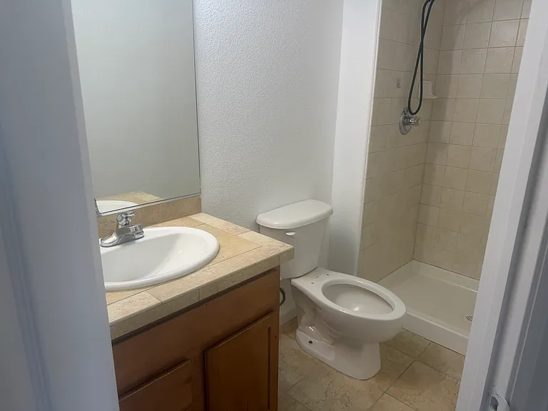 Basement Bathroom