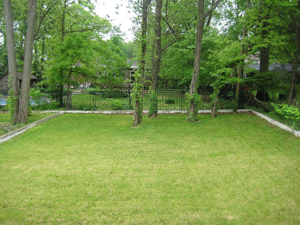Back yard