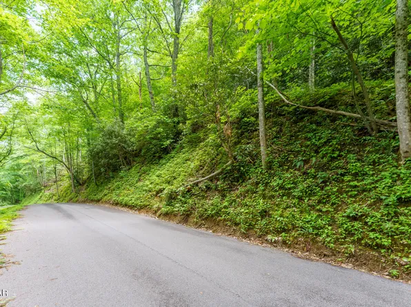 LOT 9 Zurich Rd, Gatlinburg, TN 37738