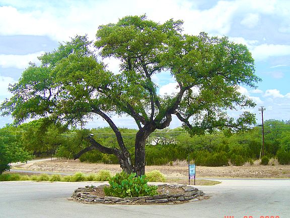 4th image of 580 Fm 3237 Unit B