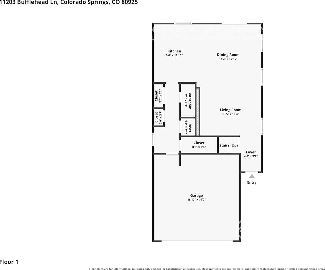 11203 Bufflehead Ln Colorado Springs, CO 80925 — Photo 2