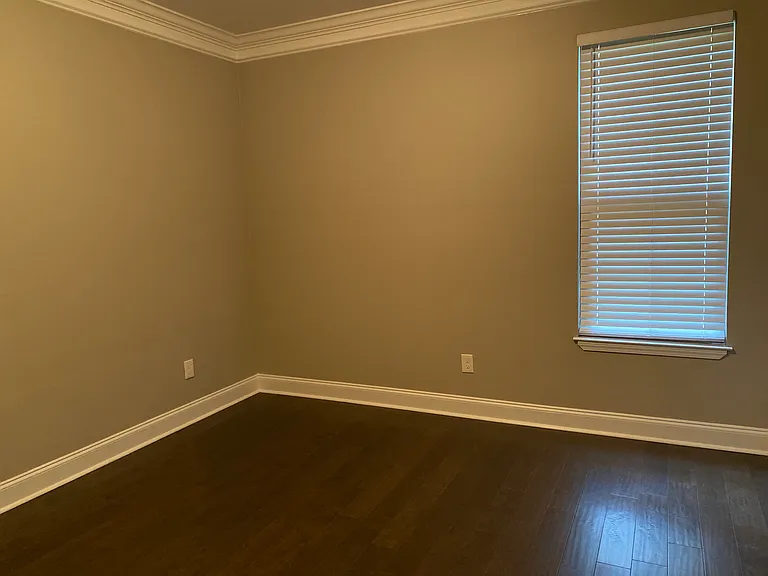 370 Forest Hill Irene Rd — Photo 26