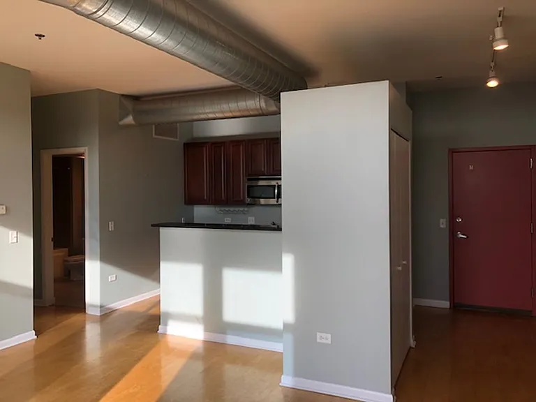 1550 S Blue Island Ave #1211 — Photo 19