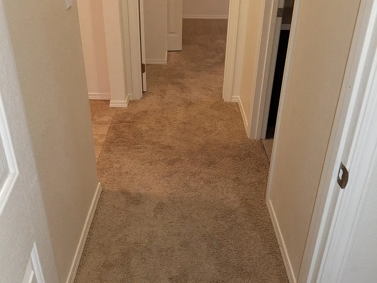 11465 Willamette Way — Photo 18