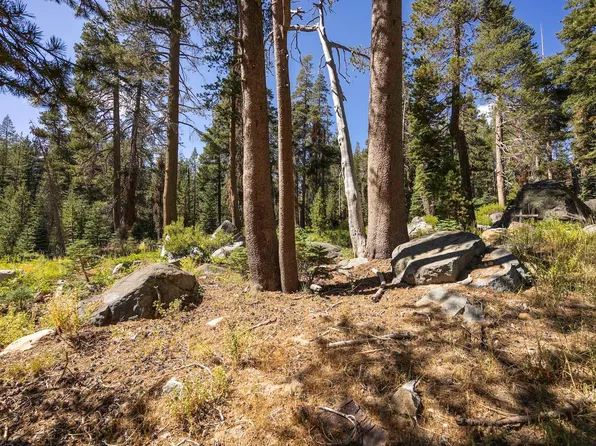 21276 Donner Dr, Soda Springs, CA 95728