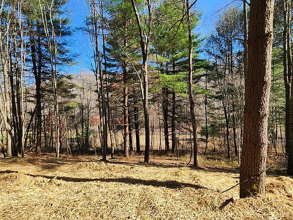 2nd image of 0 Blue Creek Rd Tract 2