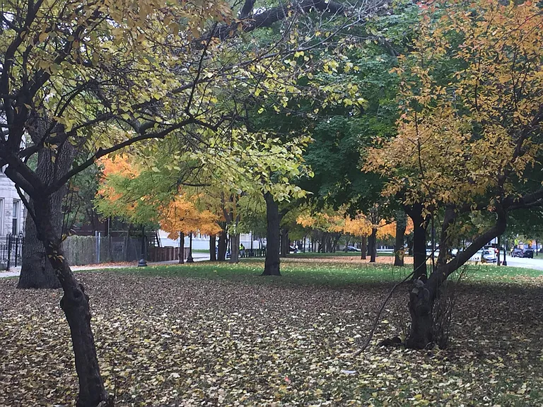 The boulevard features many varieties of trees and small flower gardens.