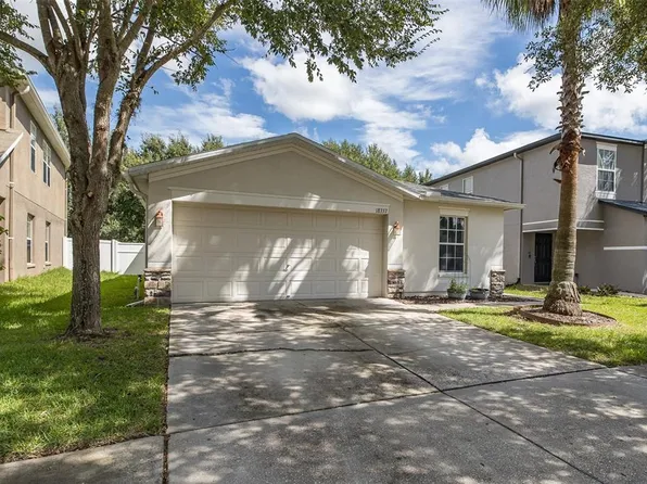 18337 Snowdonia Dr, Land O Lakes, FL 34638