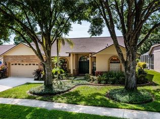 2916 Starmount Dr, Valrico, FL 33596