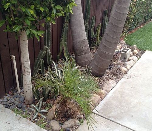 3rd image of 10755 S Mona Blvd