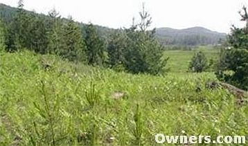 View from property.