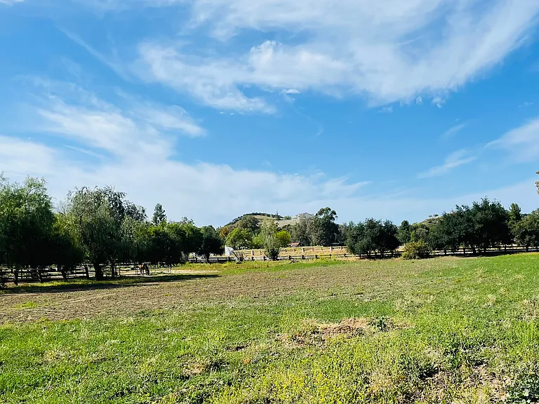 19556 Avenida De Arboles — Photo 10
