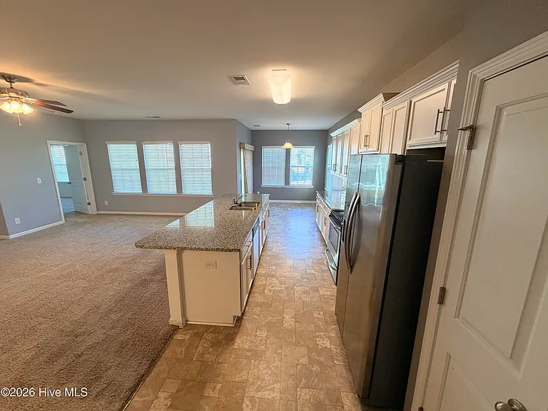 319 Louisia Mae Way — Photo 9