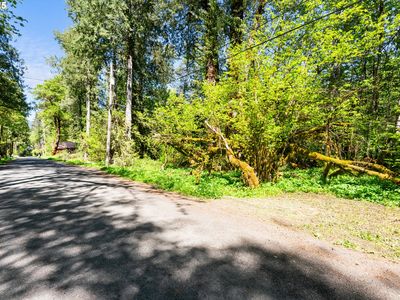 0 E Elk Park Rd, Welches, OR, 97067