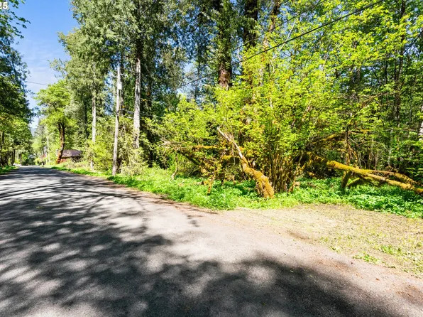 0 E Elk Park Rd, Welches, OR 97067