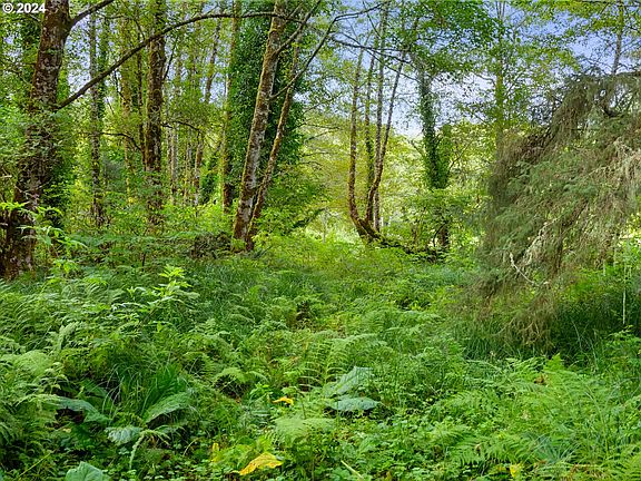 4th image of N Wahanna Rd