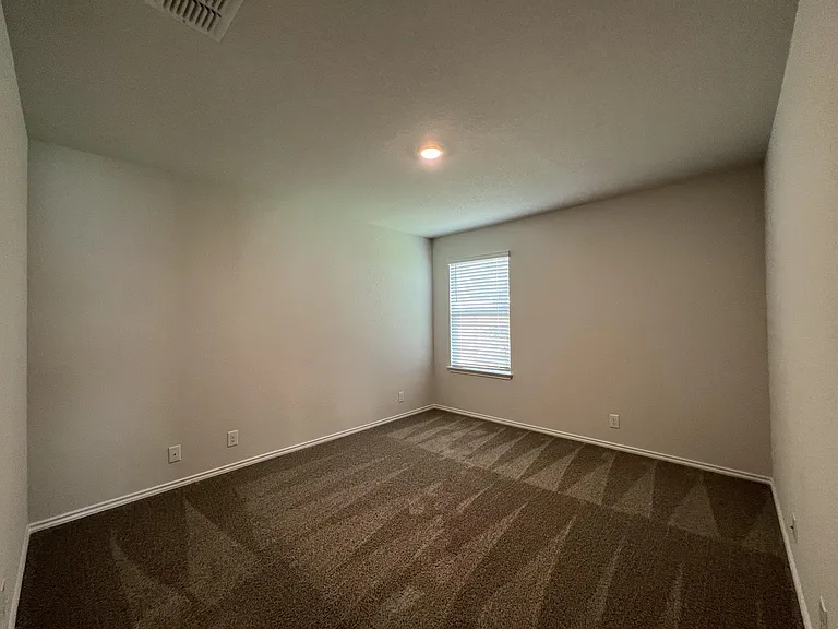 15315 Shortwing — Photo 23