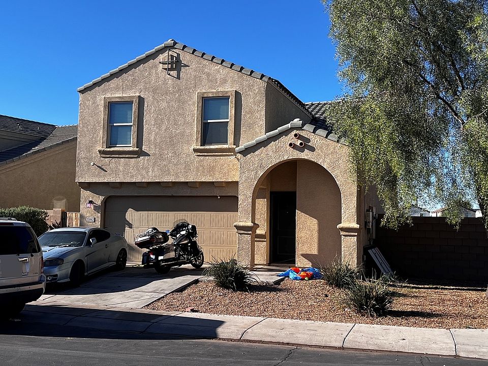 1st image of 23992 Brittlebush