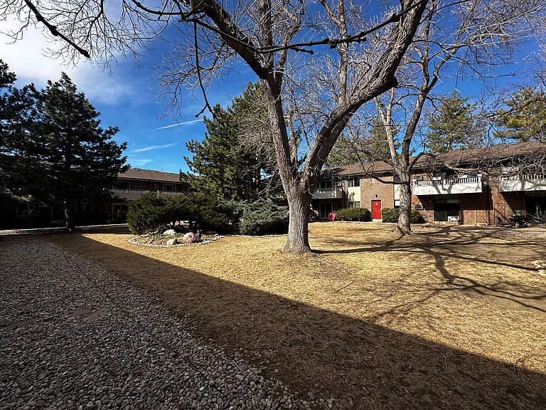 Shared courtyard