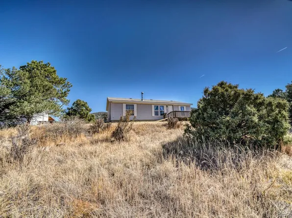 738 15th Trail, Cotopaxi, CO 81223