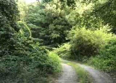 Exterior Neighborhood (street photo)