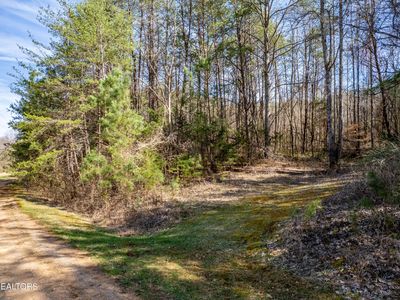 0 Welch Rd Lot 4A, Tellico Plains, TN, 37385