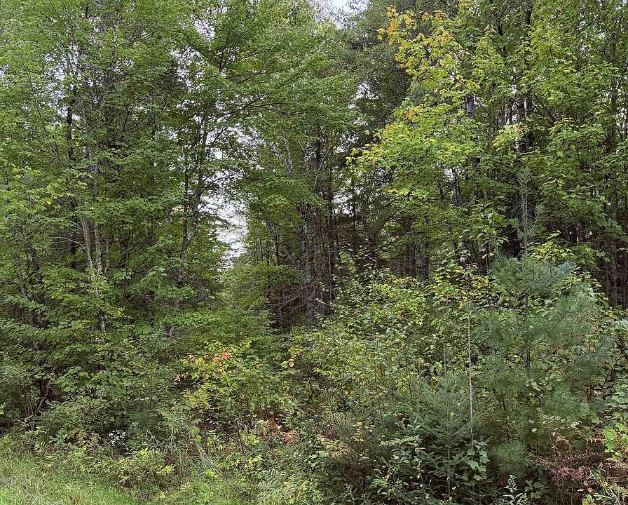 2nd image of UP RIVER ROAD