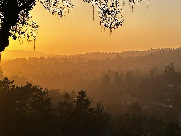 812 Loma Prieta Dr — Photo 15