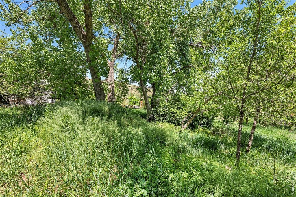 4804 Foothills Dr