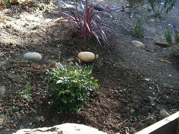 Landscaping
