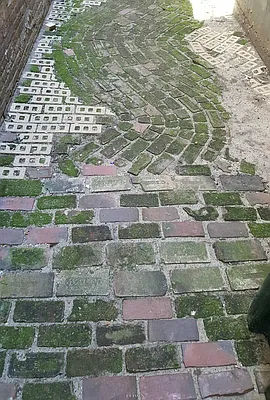 Rented by Town Residential | media 56